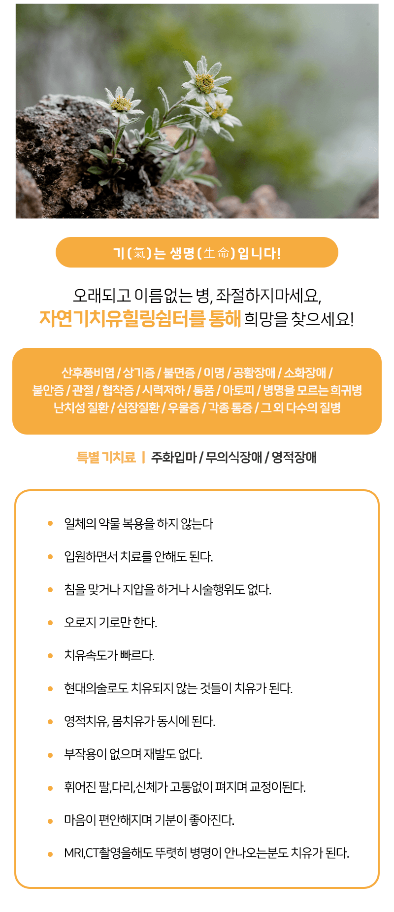 주요업무